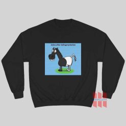 Zebra After Defragmentation Sweatshirt